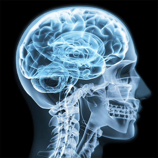 neurofisiólogo clínico